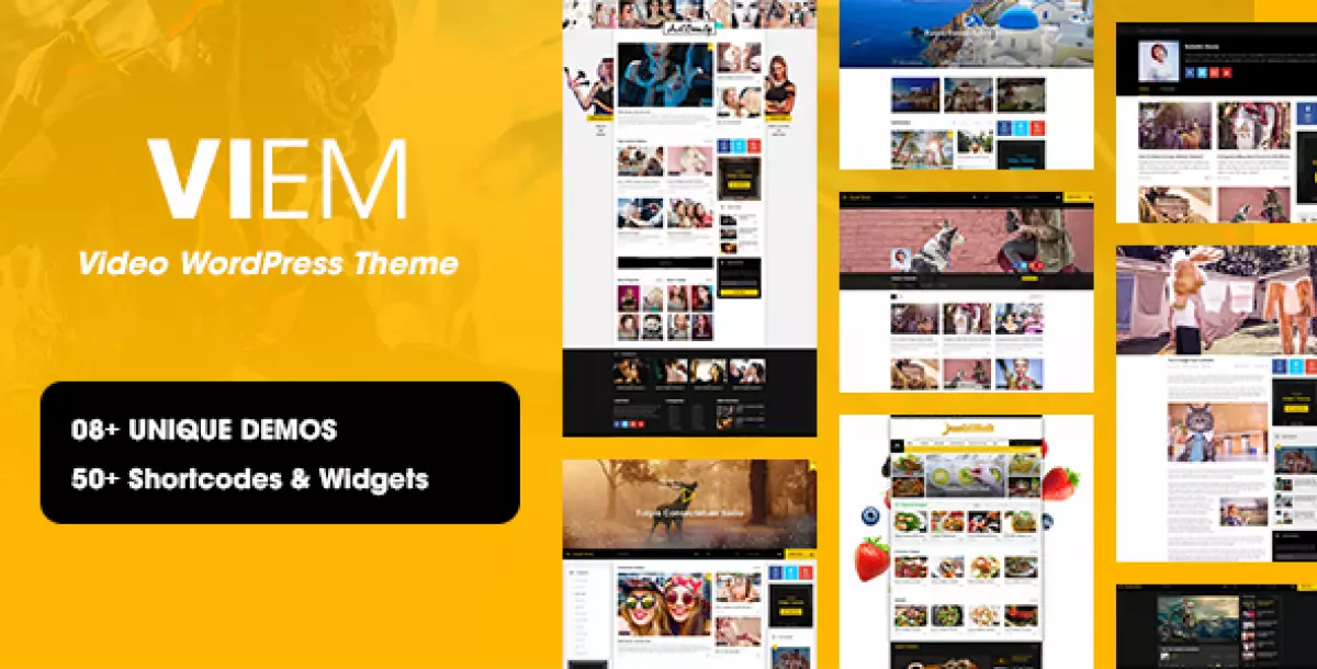 Viem - Video WordPress Theme